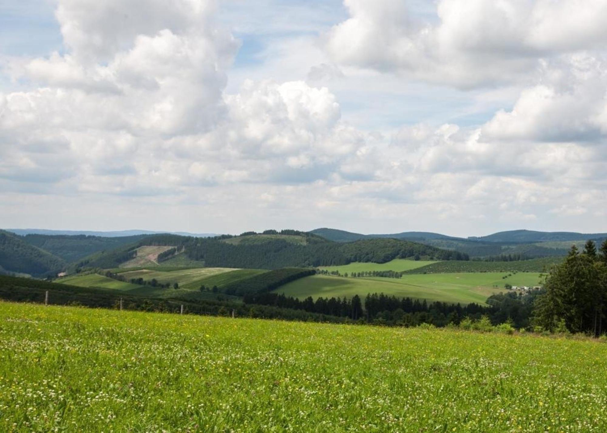 Ferienhaus Grenzweg Winterberg Eksteriør billede